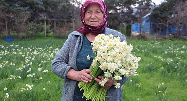 Karaburun'u nergis kokusu sardı