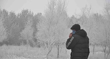 Kars'ta sis, soğuk ve kırağı hayatı olumsuz etkiledi