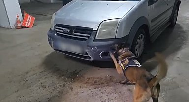 Kars'ta uyuşturucu narkotik köpeği Şila'ya takıldı