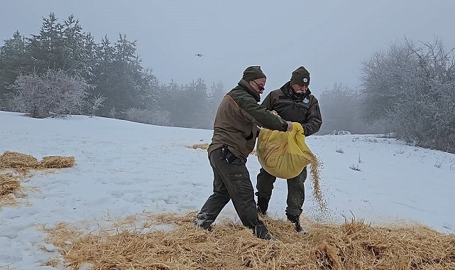 Kastamonu'da yaban hayvanları için doğaya yem bırakıldı