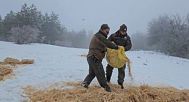 Kastamonu'da yaban hayvanları için doğaya yem bırakıldı