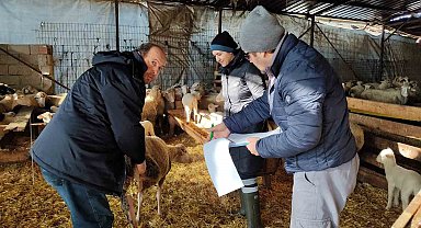 Kırklareli'de küçük ve büyükbaş hayvanların kontrolleri yapıldı