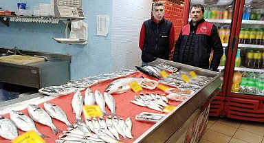 Kırklareli'nde balıkçılar denetlendi