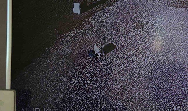 Köpeğin çocuğa saldırdığı anlar güvenlik kamerasına yansıdı