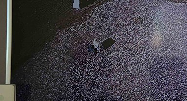 Köpeğin çocuğa saldırdığı anlar güvenlik kamerasına yansıdı