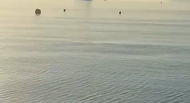 Kumla açıklarındaki gemiden amonyak kokusu yayıldığı iddiası