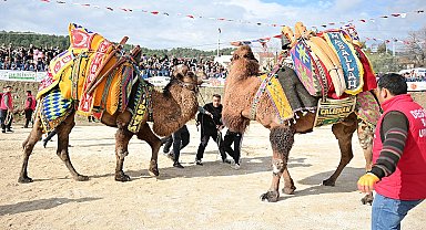 Kumluca'da Geleneksel Deve Gösterisi nefes kesti