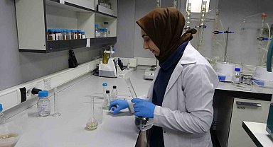 Kuru kayısıya ihracat öncesi kapsamlı inceleme