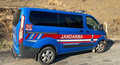 Kuyucak'ta köpek dövüşüne jandarma baskını: 3'ü organizatör, 52 şahıs yakalandı