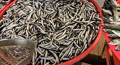 Lodos etkiledi, denizden az çıktı, tezgahta fiyatlar arttı