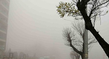 Manisa'da yoğun sis etkili oluyor