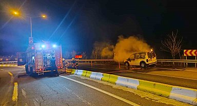 Mardin'de seyir halindeki ticari araç alevlere teslim oldu