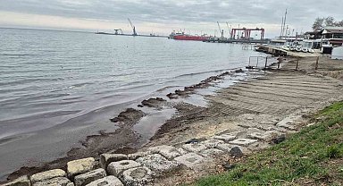 Marmara Denizi kıyılarında kızıl yosunlar birikti