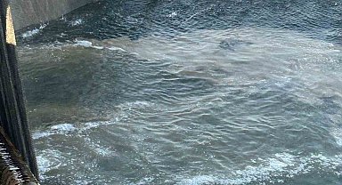 Marmara Denizi'nde ağlara balık yerine müsilaj takıldı