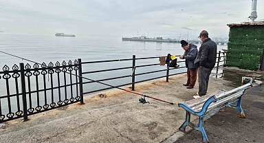 Marmara'da oltalar suya, kediler gözlerini balığa dikti
