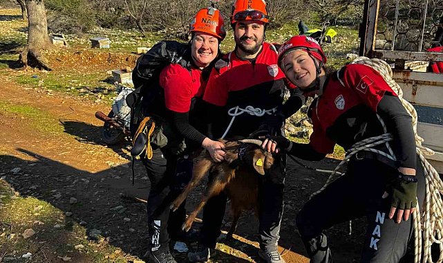 Menteşe'de kayalıklarda mahsur kalan keçi ekipler tarafından kurtarıldı