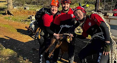 Menteşe'de kayalıklarda mahsur kalan keçi ekipler tarafından kurtarıldı