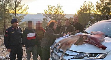 Mersin'de yaban keçisi avlayan 2 şahsa 673 bin TL ceza kesildi