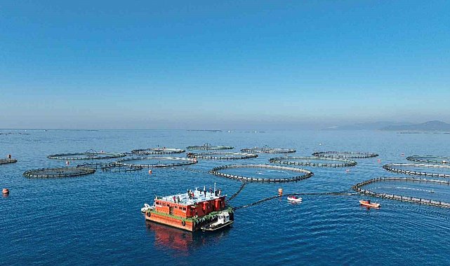 Muğla'da su ürünlerinden 624,6 milyon dolar gelir