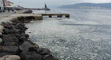 Müsilaj Çanakkale Boğazı'nı kaplamaya başladı