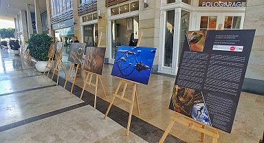 Niğde'nin Toros Kurbağası'nın su altı fotoğrafları Mersin'de sergilendi