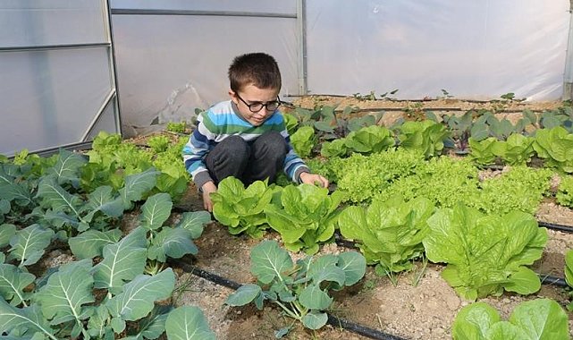 Öğrenciler okulda tavuk besleyip sebzecilik yapıyor