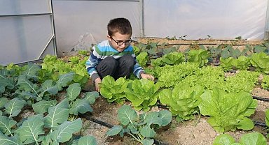 Öğrenciler okulda tavuk besleyip sebzecilik yapıyor