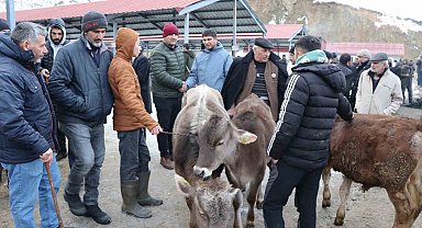 Oltu'daki hayvan pazarı yeniden açıldı
