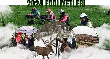 Orman Bölge Müdürlüğü orman yangınlarıyla mücadele çalışmalarını sürdürüyor