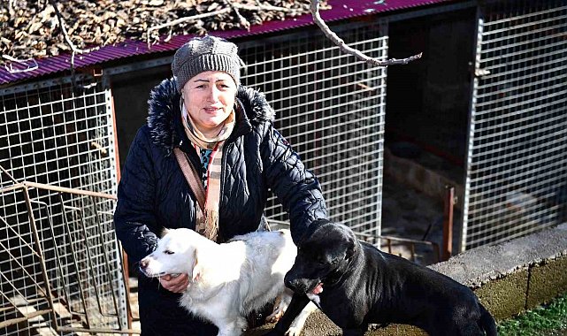 Ortahisar Belediyesi'nden hayvansever vatandaşlara mama desteği