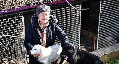 Ortahisar Belediyesi'nden hayvansever vatandaşlara mama desteği