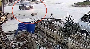 Otomobiliyle köpeğe çarptı, umursamadan yoluna devam etti