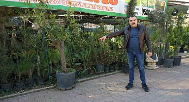 Peyzajcıdan dinlene dinlene bitkileri çaldı