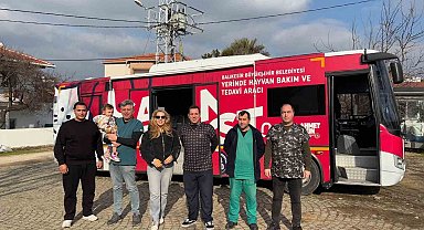 "Can Dost" şifa dağıtmaya devam ediyor: Paşa Limanı Adası'nda 182 sokak hayvanı hayata tutundu