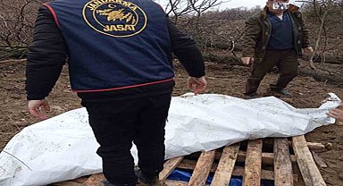 "Traktörüm çalındı" dedi, gerçek bambaşka çıktı