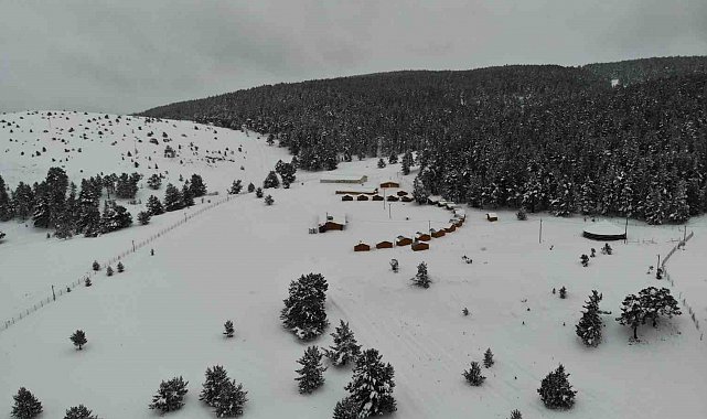 Refahiye'de Kayakla Oryantiring Türkiye Şampiyonası düzenleniyor