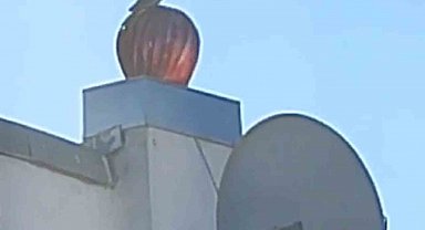 Rüzgar gülü ile birlikte dönen kuş görenleri güldürdü