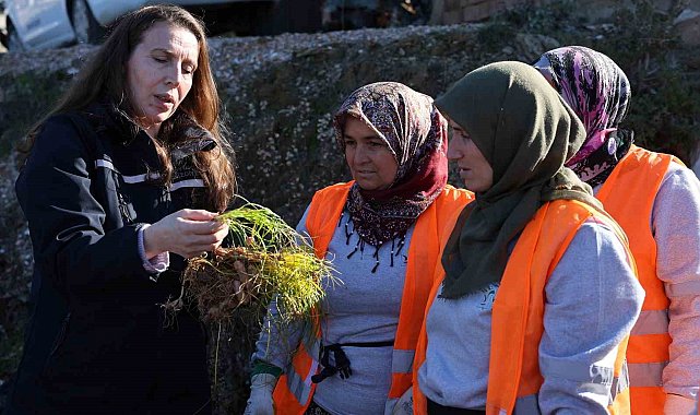 Safran ve salep fideleri Manavgat'ta toprakla buluştu