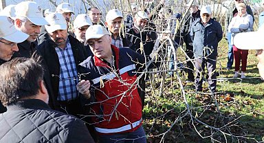 Samsun'da fındık budama yarışması