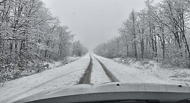 Sarıcakaya ormanlarında kar yağışı etkili oldu