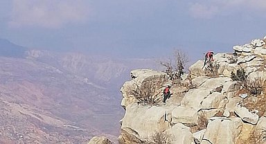 Siirt'te 4 gündür mahsur kalan 3 keçi kurtarıldı