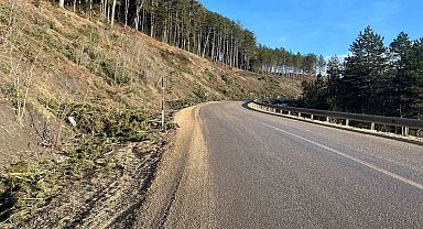 Sık sık kazaların yaşandığı yolda ulaşım doğal ışıklandırmayla güvenli olacak