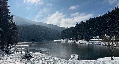 Sinop'ta 2024 Yılı Doğa Koruma çalışmaları