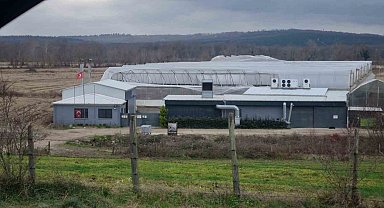 Sinop'ta etkili olan fırtına seralara zarar verdi