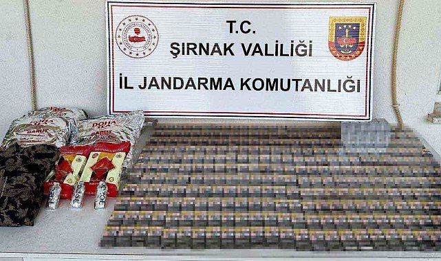 Şırnak'ta kaçakçılık operasyonu: 1 tutuklama