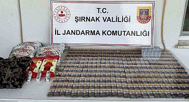 Şırnak'ta kaçakçılık operasyonu: 1 tutuklama