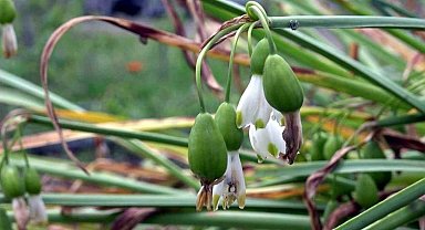 Tabiata zarar verenlerin cebi yandı: 7 kişiye 2,4 milyon TL idari para cezası