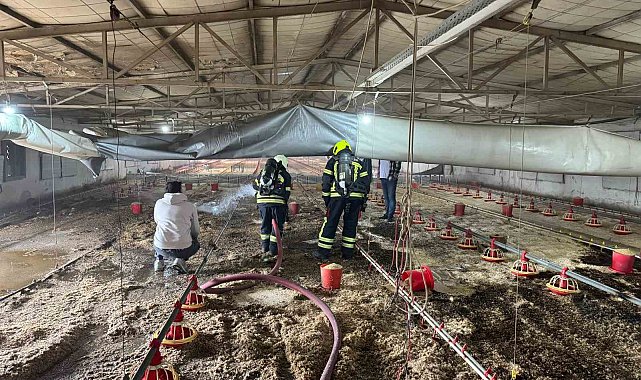 Tarsus'ta tavuk üretim merkezinde yangın