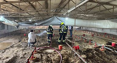 Tarsus'ta tavuk üretim merkezinde yangın