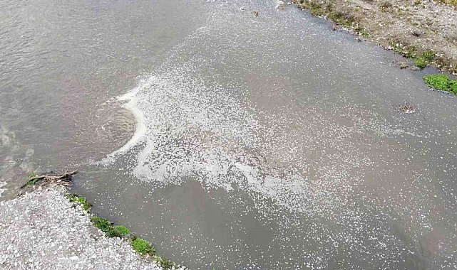 Taşova'da Yeşilırmak kirlilikten köpürdü